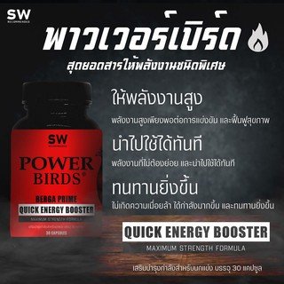 RANDOLPH- POWER BIRD QUICK ENERGY เพาเวอร์เบิร์ด อาหารนกจอมพลัง RANDOLPH- POWER BIRD QUICK ENERGY เพาเวอร์เบิร์ด อาหารนกจอมพลัง