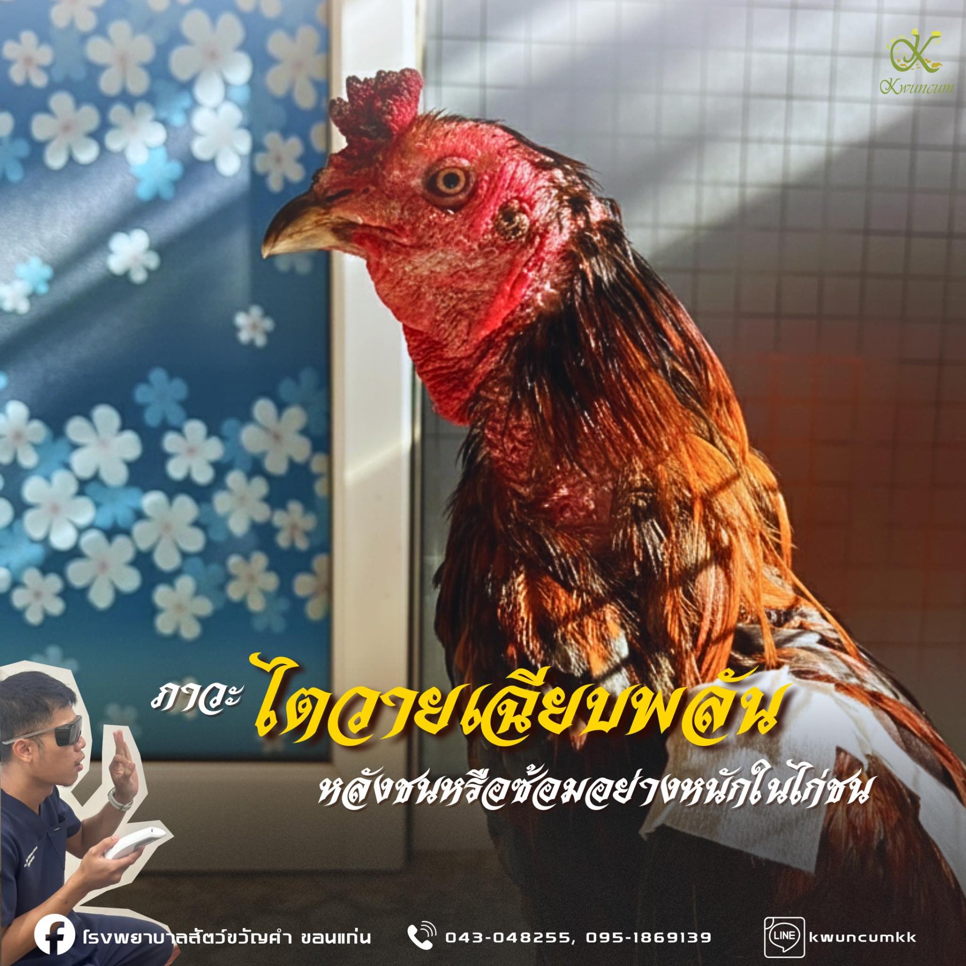 ภาวะไตวายเฉียบพลัน หลังทำการชนหรือซ้อมอย่างหนัก