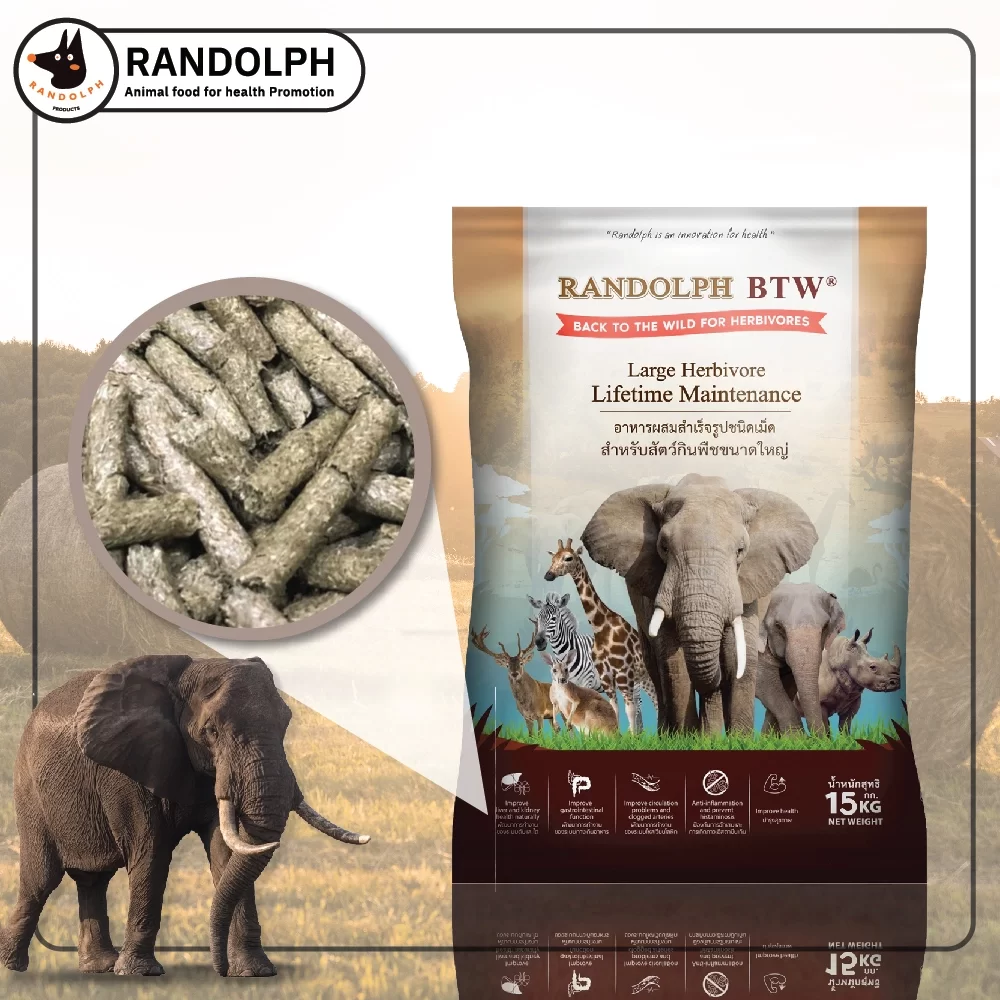 แรนดอฟ ลาร์จบิวอร์บูไทม์เทแนนซ์ (RANDOLPH LARGE HERBIVORE LIFETIME MAINTENANCE)  แรนดอฟ ลาร์จบิวอร์บูไทม์เทแนนซ์ (RANDOLPH LARGE HERBIVORE LIFETIME MAINTENANCE)