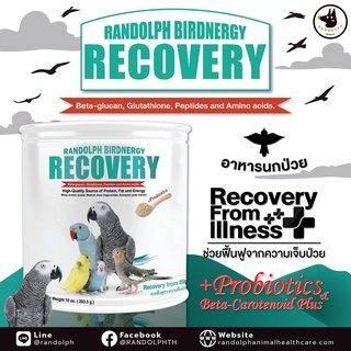 Randolph Birdnergy Recovery อาหารฟืนฟูสำหรับนกป่วย Randolph Birdnergy Recovery อาหารฟืนฟูสำหรับนกป่วย