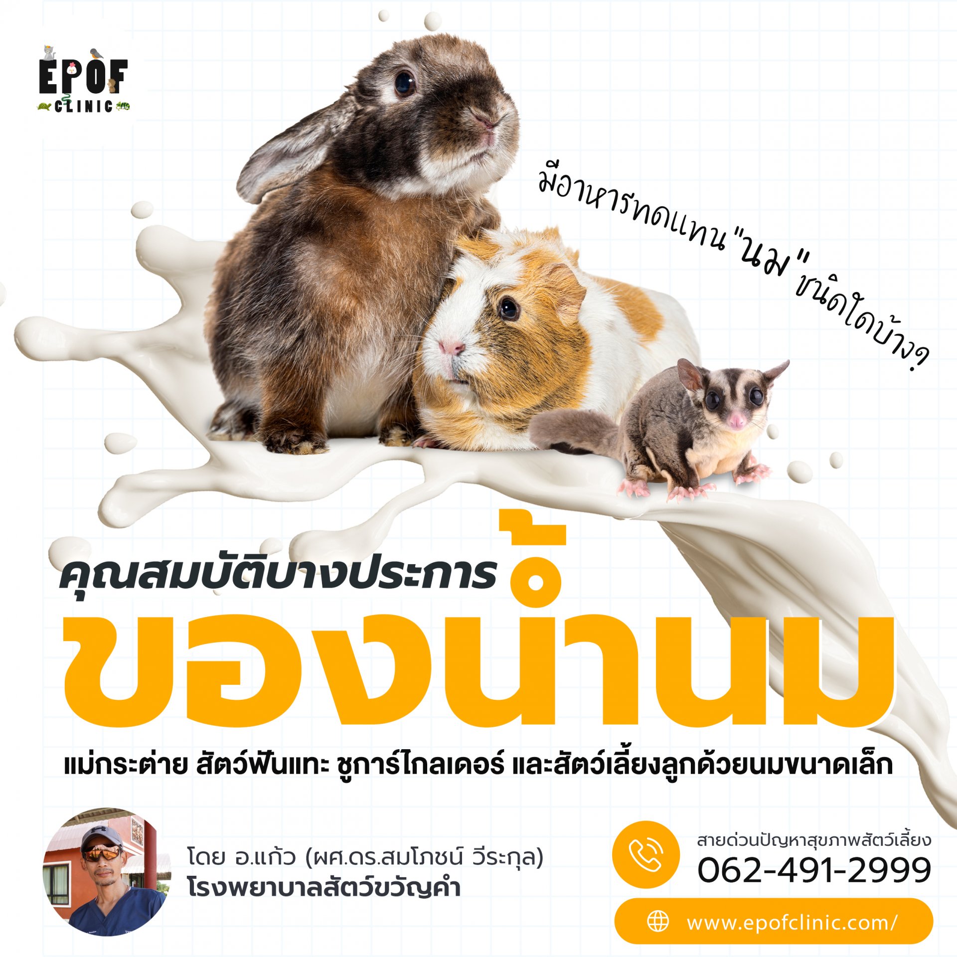 คุณสมบัติบางประการของน้ำนมแม่กระต่าย สัตว์ฟันแทะ ชูการ์ไกลเดอร์ และสัตว์เลี้ยงลูกด้วยนมขนาดเล็ก - และอาหารทดแทนนมชนิดใดบ้าง? คุณสมบัติบางประการของน้ำนมแม่กระต่าย สัตว์ฟันแทะ ชูการ์ไกลเดอร์ และสัตว์เลี้ยงลูกด้วยนมขนาดเล็ก - และอาหารทดแทนนมชนิดใดบ้าง?