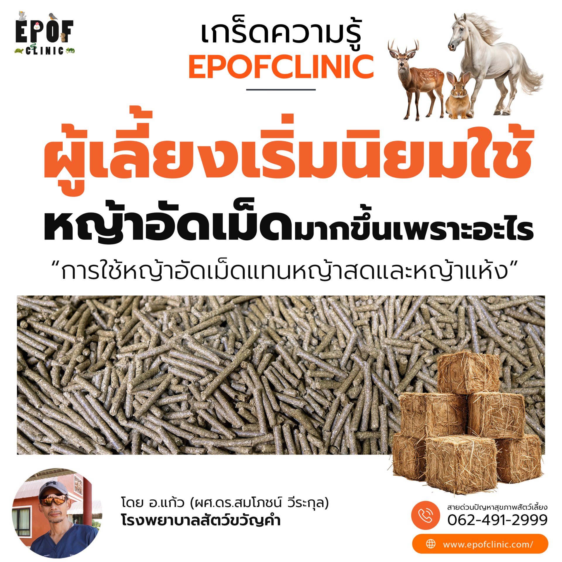 ผู้เลี้ยงเริ่มนิยมใช้หญ้าอัดเม็ดมากขึ้นเพราะอะไร  การใช้หญ้าอัดเม็ดแทนหญ้าสดและหญ้าแห้ง ผู้เลี้ยงเริ่มนิยมใช้หญ้าอัดเม็ดมากขึ้นเพราะอะไร  การใช้หญ้าอัดเม็ดแทนหญ้าสดและหญ้าแห้ง