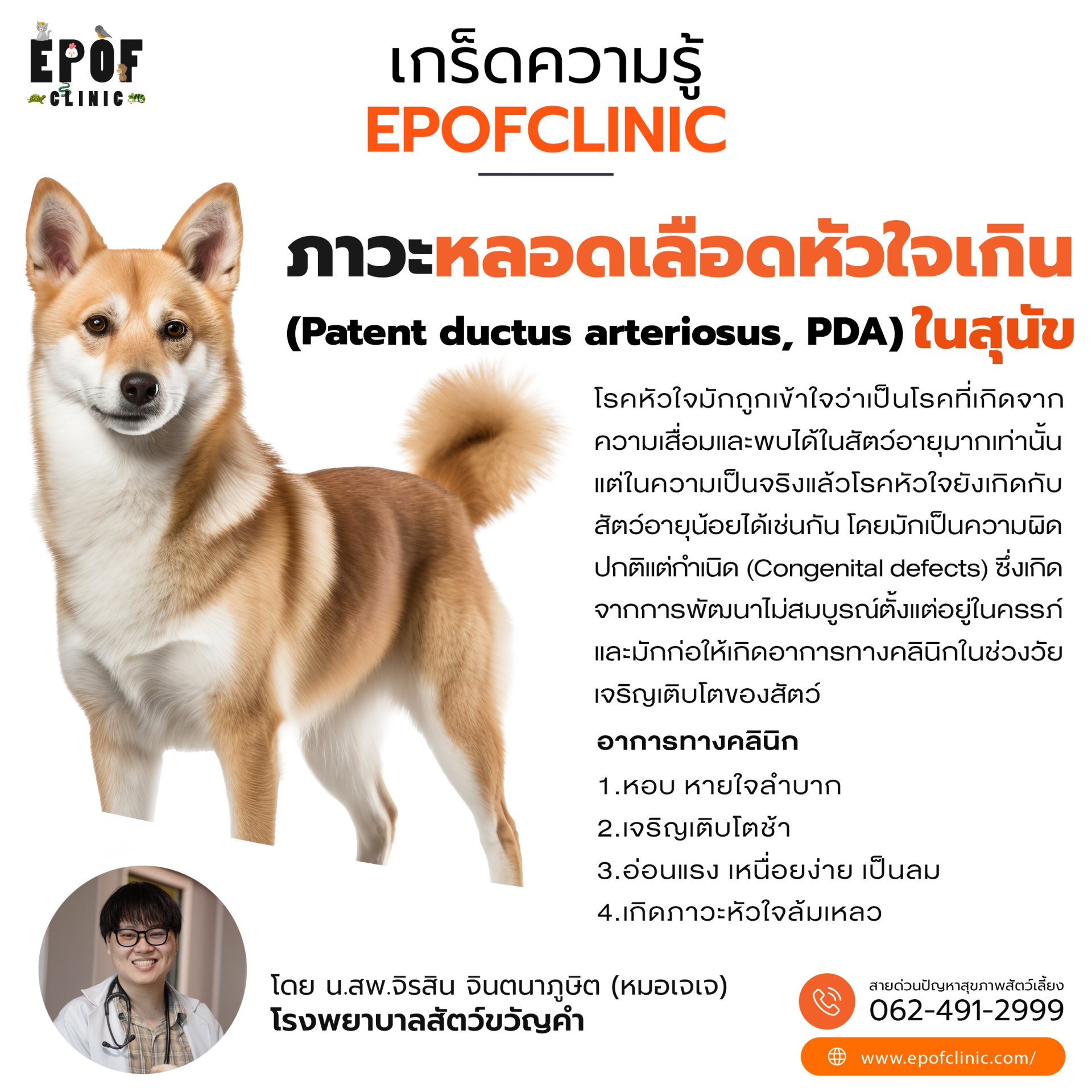 ภาวะหลอดเลือดหัวใจเกินในสุนัข (Patent ductus arteriosus, PDA)