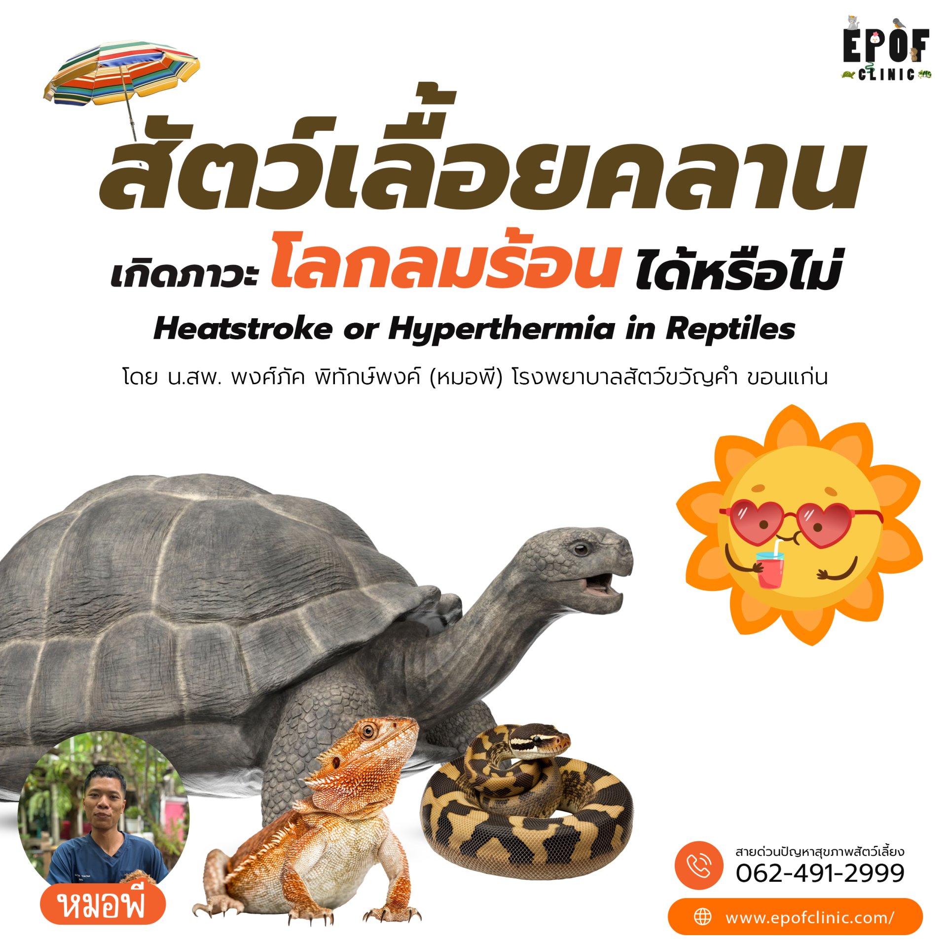 Can reptiles experience global warming ? Heatstroke or Hyperthermia in Reptiles Can reptiles experience global warming ? Heatstroke or Hyperthermia in Reptiles