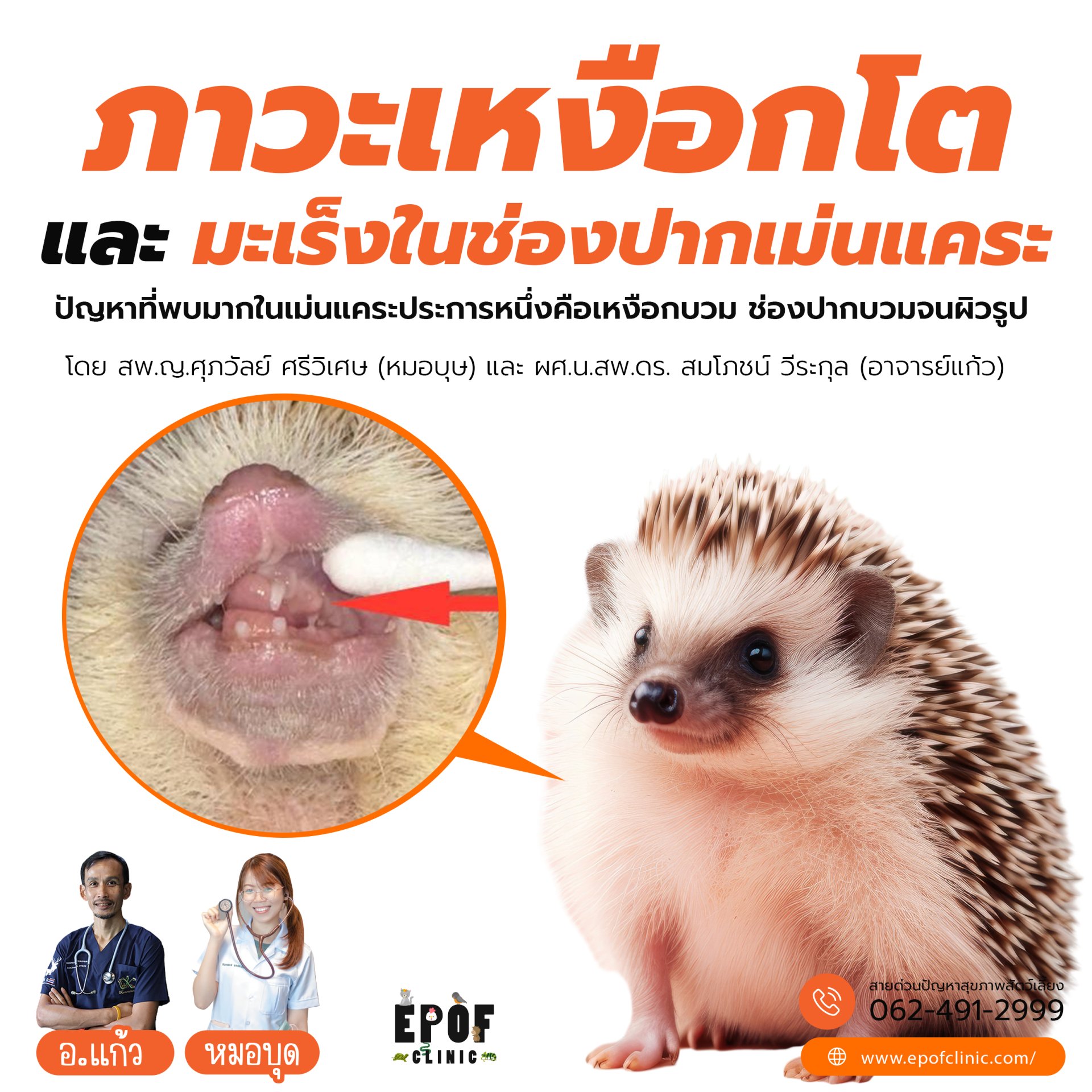 Gingival Hyperplasia and Oral Cancer in African Pygmy Hedgehogs Gingival Hyperplasia and Oral Cancer in African Pygmy Hedgehogs