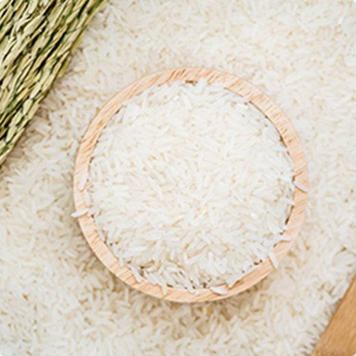 ข้าวขาวดอกมะลิ 105 ข้าวขาวดอกมะลิ 105