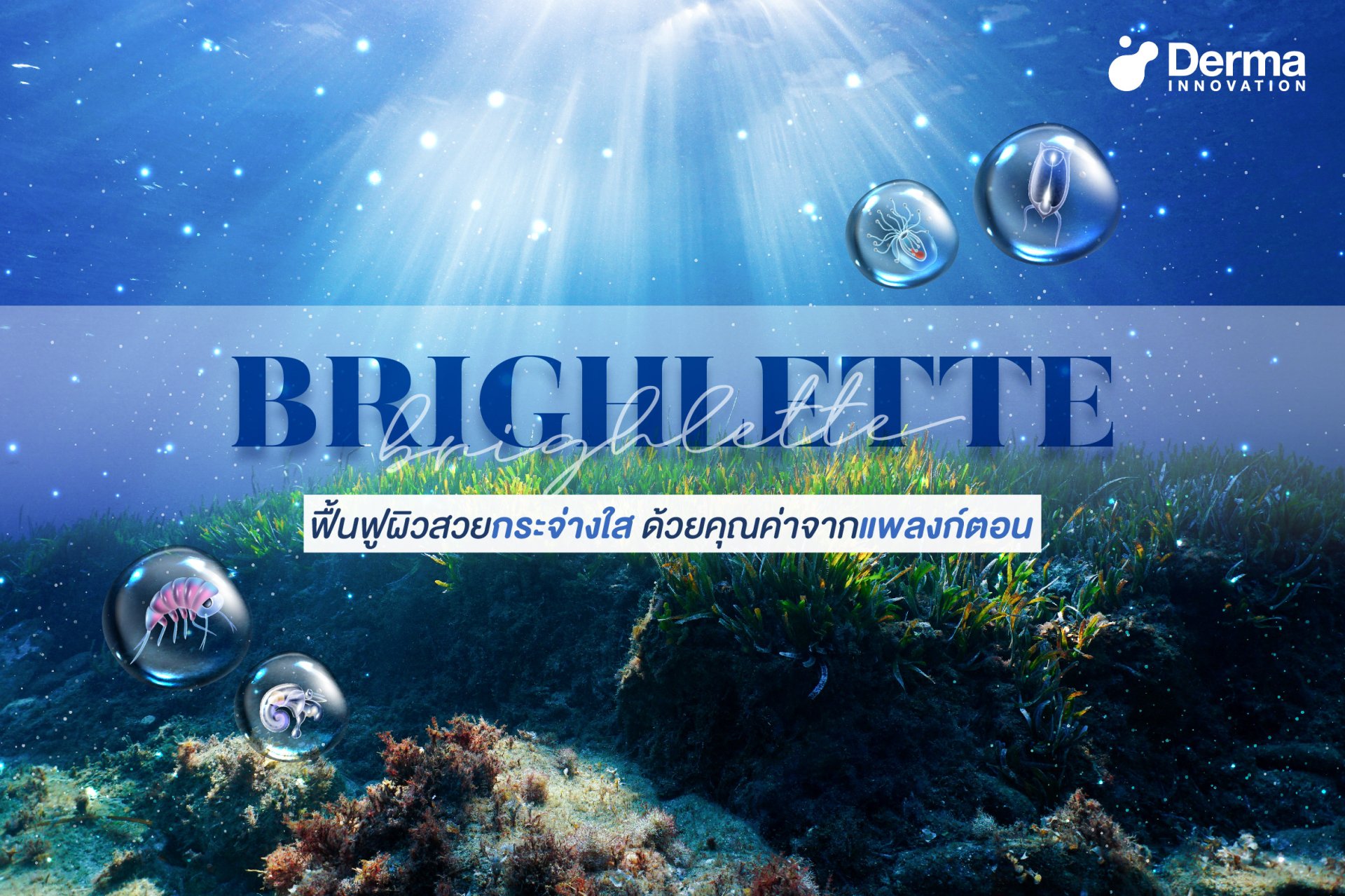 BRIGHLETTE restores radiant skin With the value of plankton