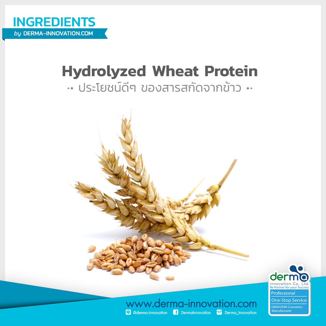 Hydrolyzed Wheat protein