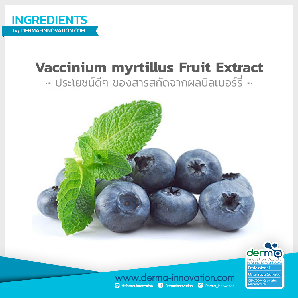 Vaccinium Myrtillus Fruit Extract