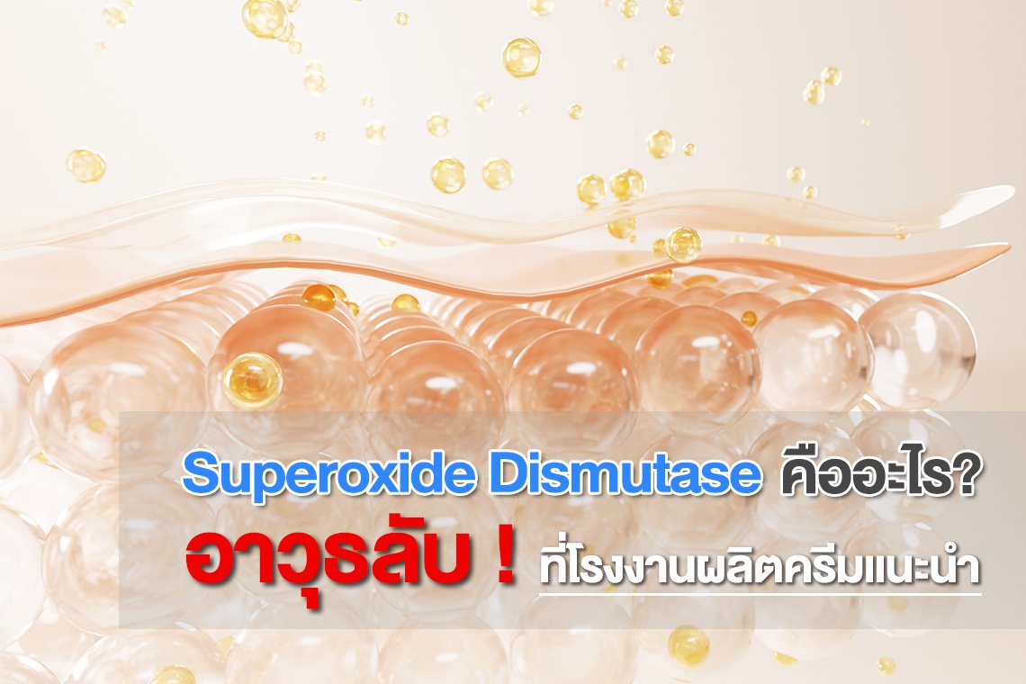 Superoxide Dismutase