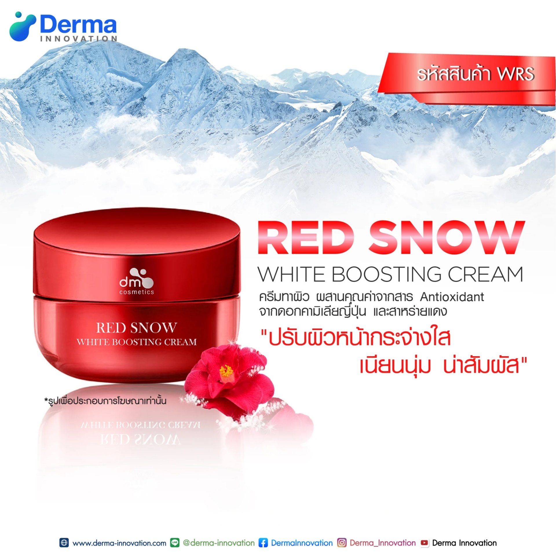 Red Snow White Boosting Cream - derma-innovation