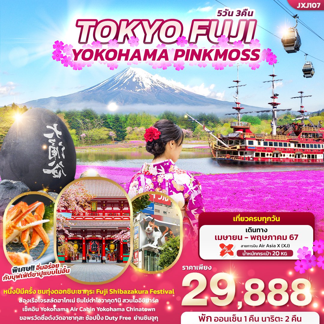 TOKYO FUJI YOKOHAMA PINKMOSS 5 วัน 3 คืน