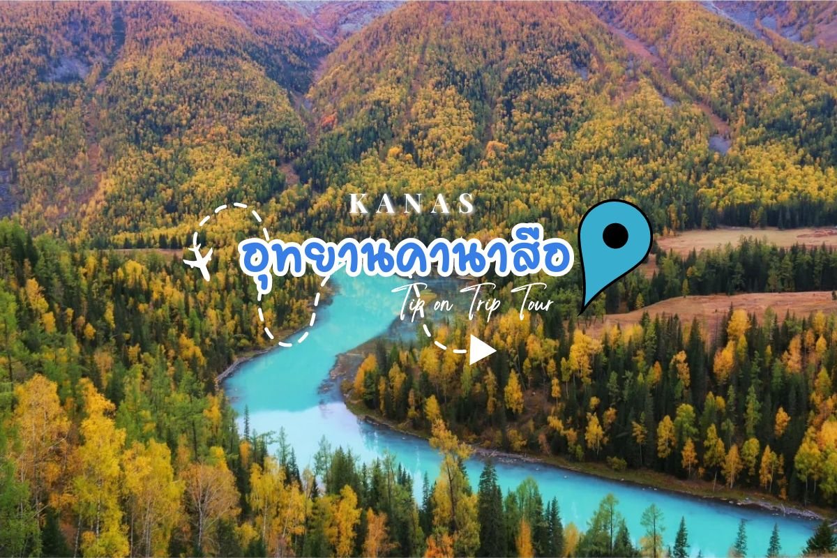 ใบไม้เปลี่ยนสี อุทยานคานาสือ ซินเจียงเหนือ ประเทศจีน