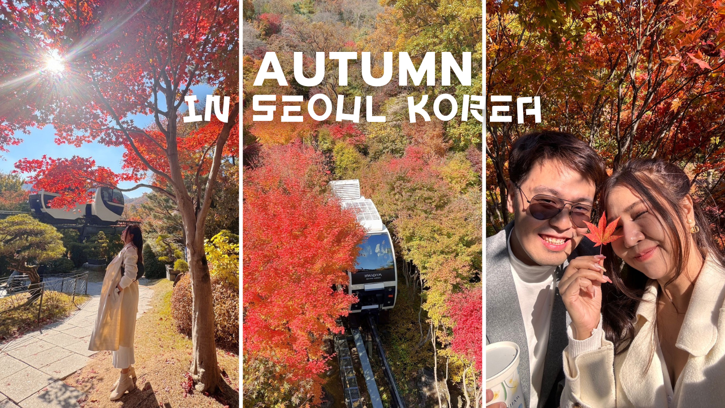 AUTUMN IN SEOUL KOREA เที่ยวตามใจ ชมใบไม้เปลี่ยนสี ที่โซล 5 วัน 3 คืน