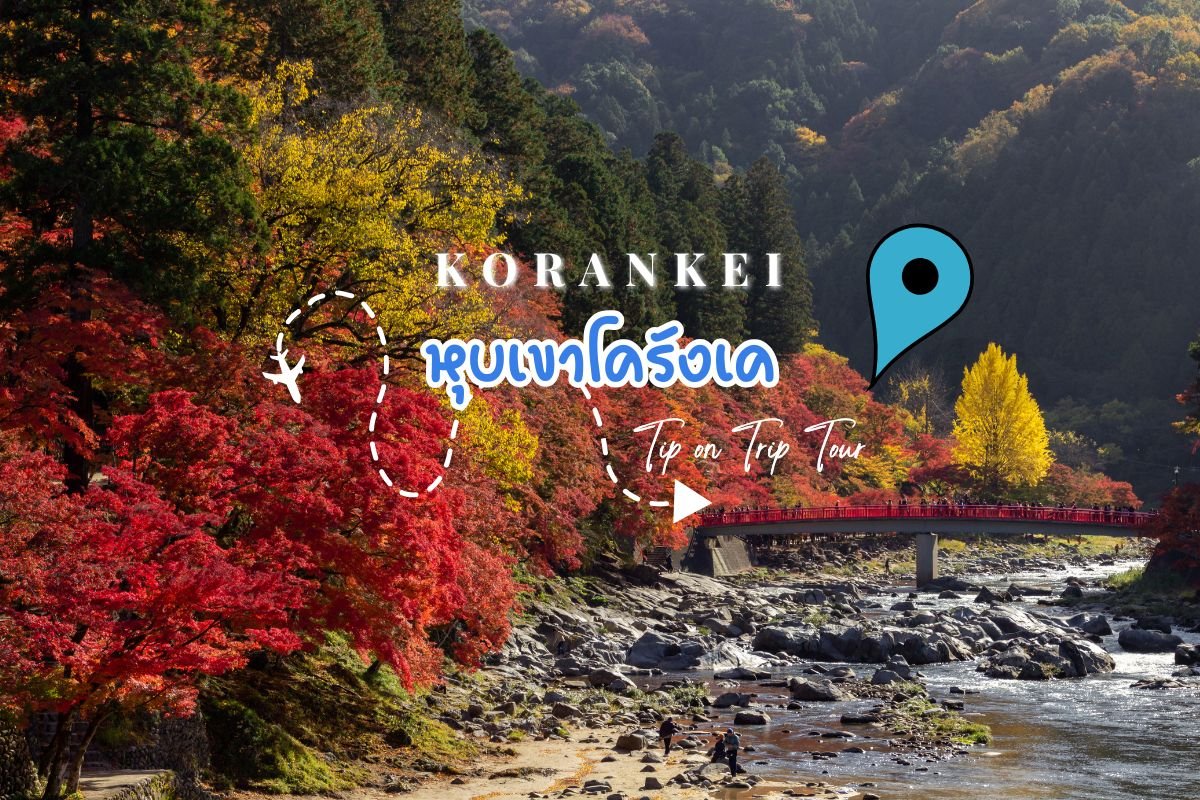 หนึ่งในจุดชมใบไม้เปลี่ยนสีที่สวยที่สุดในญี่ปุ่น!