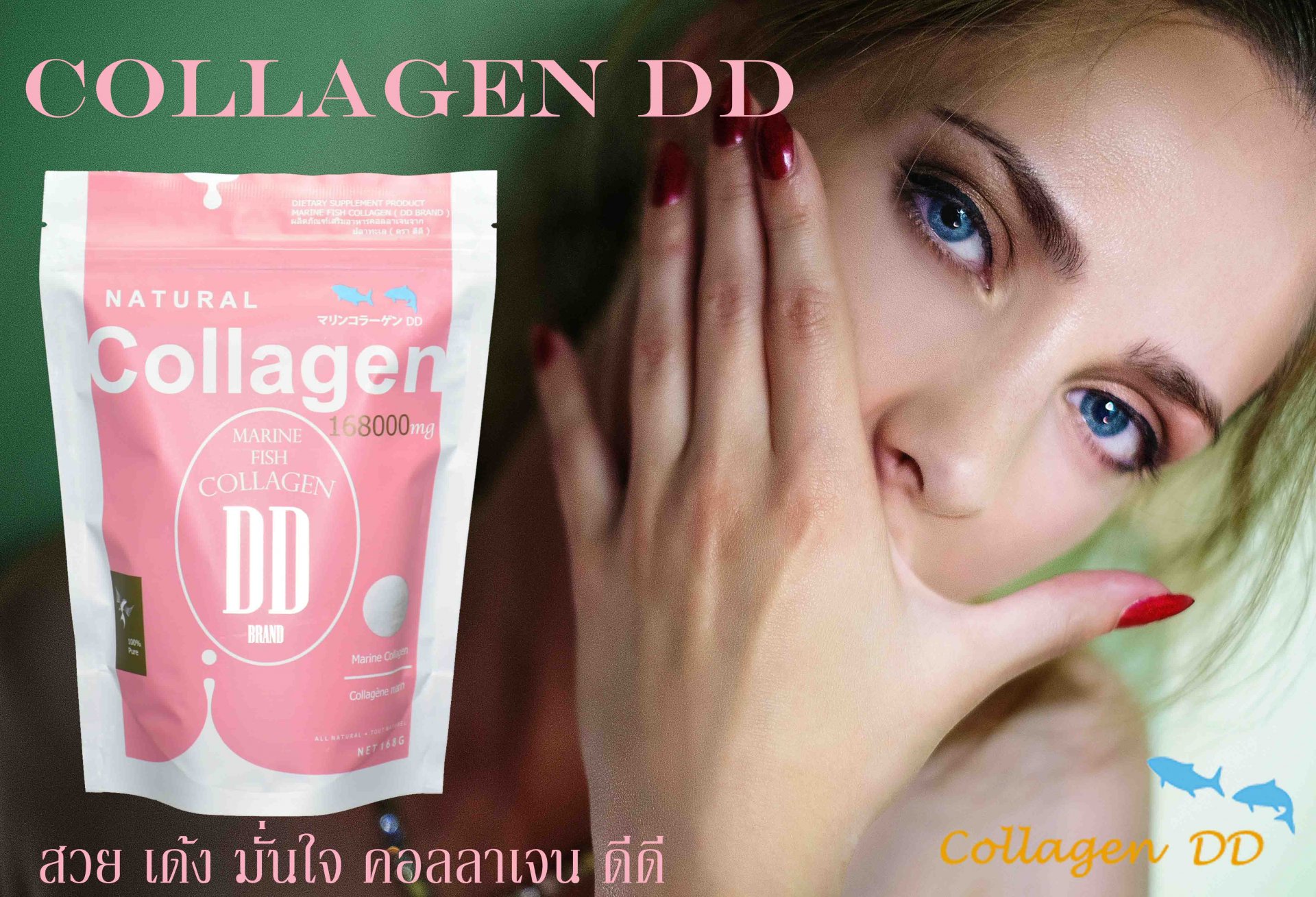 Collagen DD