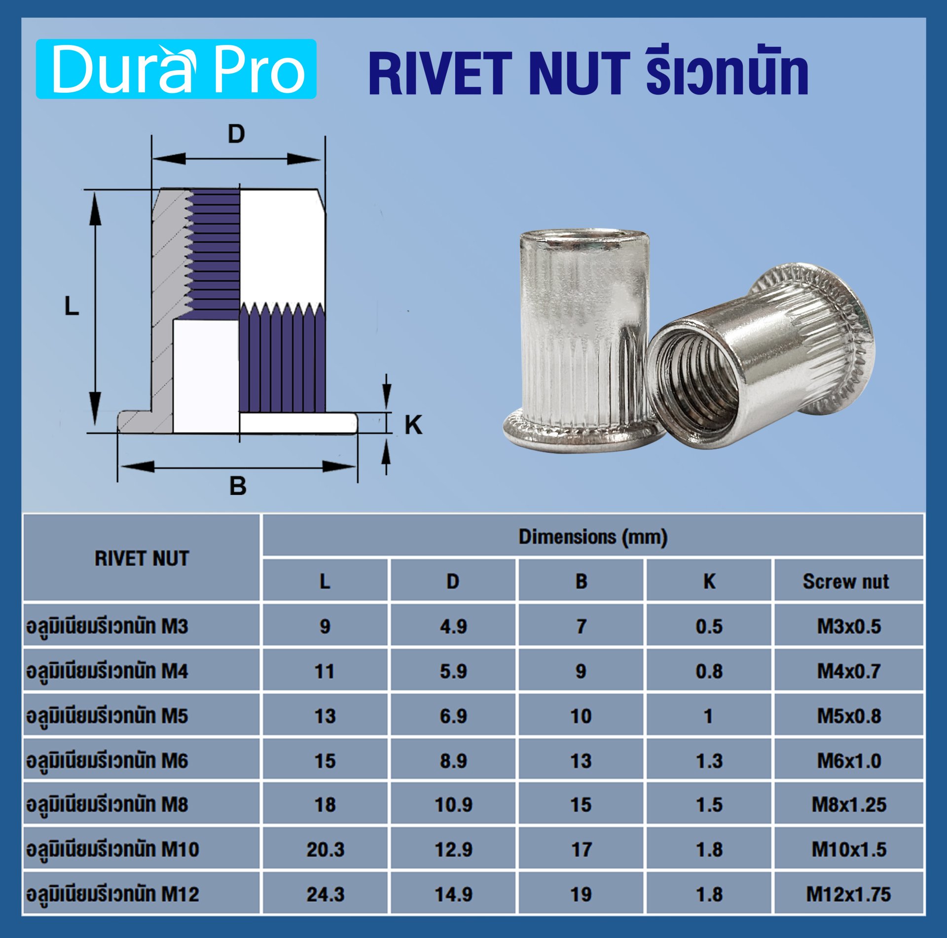 รีเวทนัทอลูมิเนียม ( ALUMINIUM RIVET NUT ) เบอร์ M8 ( แพ็ค 10 ชิ้น ...