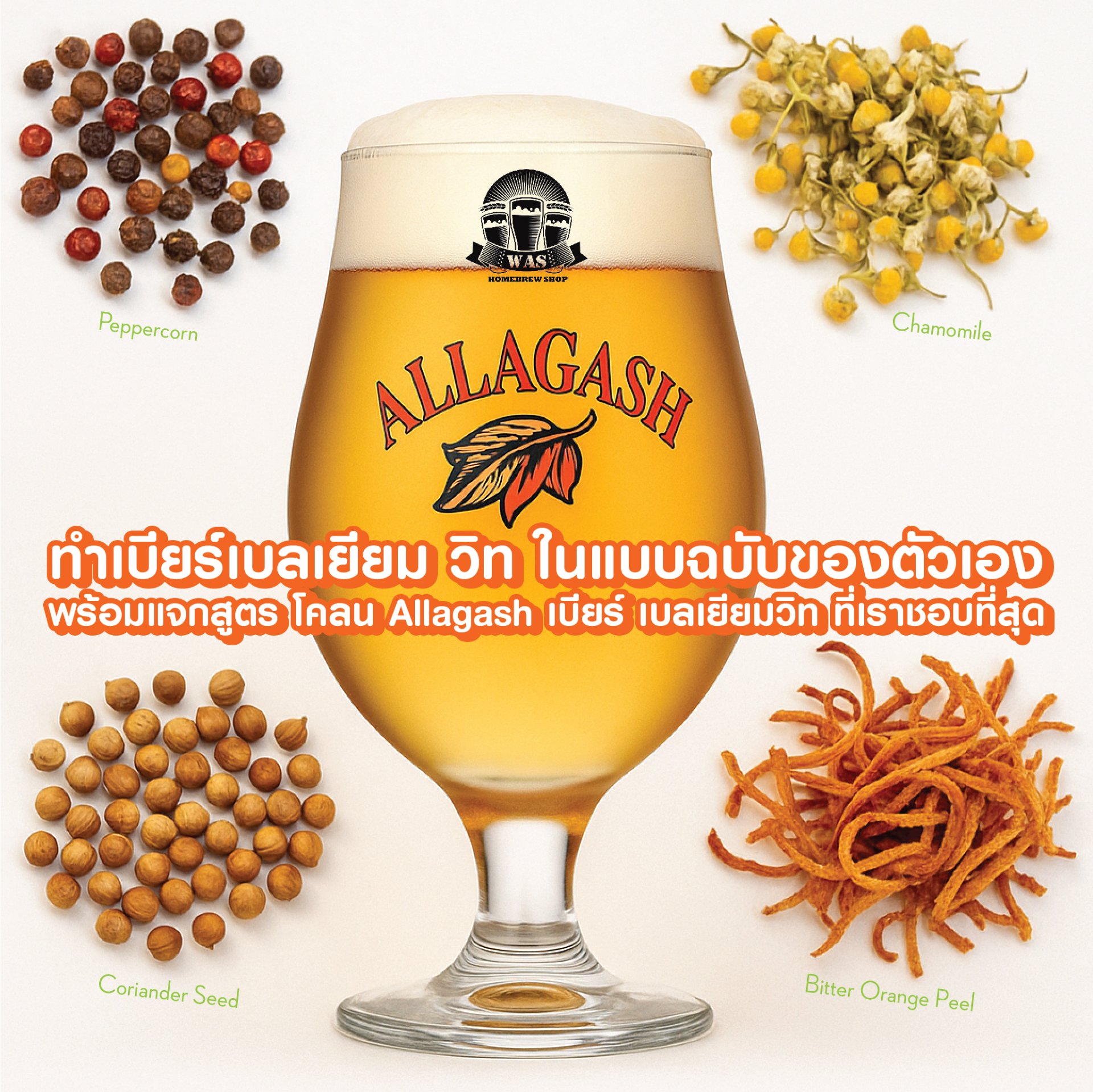 ทำเบียร์เบลเยียม วิทเบียร์ ในแบบฉบับของตัวเอง (Witbier)