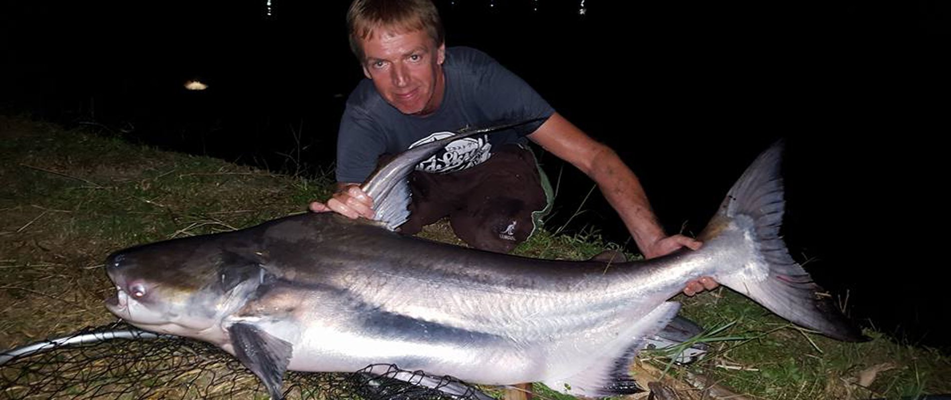 Jaopraya giant catfish