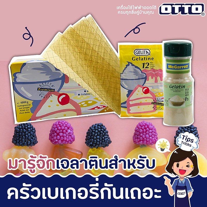 มารู้จักเจลาตินสำหรับครัวเบเกอรี่ มารู้จักเจลาตินสำหรับครัวเบเกอรี่