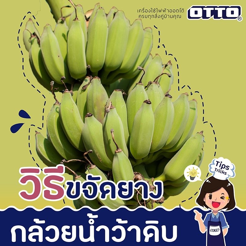 วิธีขจัดยางกล้วยน้ำว้าดิบ วิธีขจัดยางกล้วยน้ำว้าดิบ