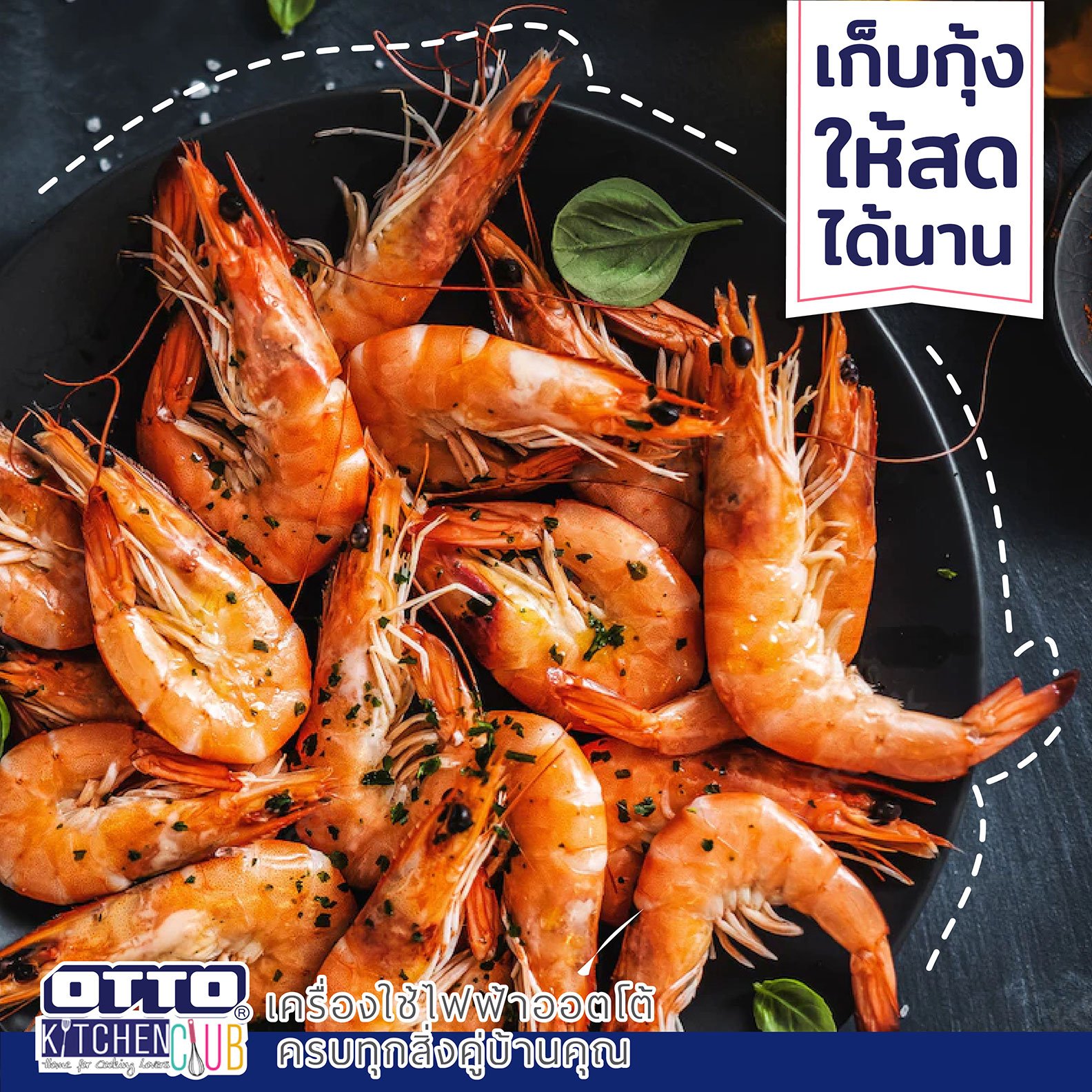 หน้าปก วิธีการเก็บกุ้งไว้นานๆ by OTTOKITCHENCLUB หน้าปก วิธีการเก็บกุ้งไว้นานๆ by OTTOKITCHENCLUB
