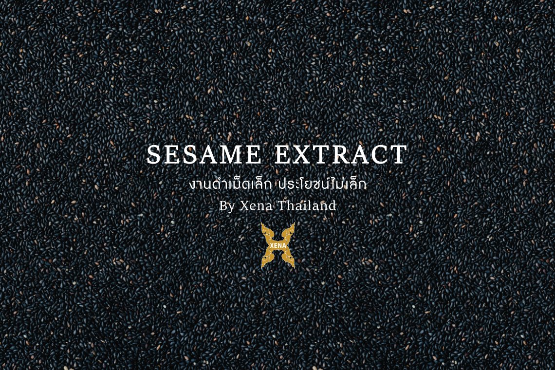 งาดำเม็ดเล็ก ประโยชน์ไม่เล็ก - Xena Thailand งาดำเม็ดเล็ก ประโยชน์ไม่เล็ก - Xena Thailand