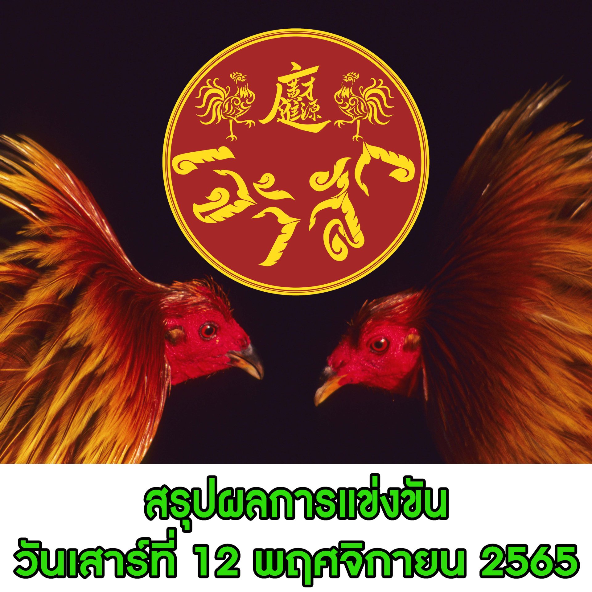 ผลการแข่งขัน ประจำวันที่ 12 พฤศจิกายน 2565