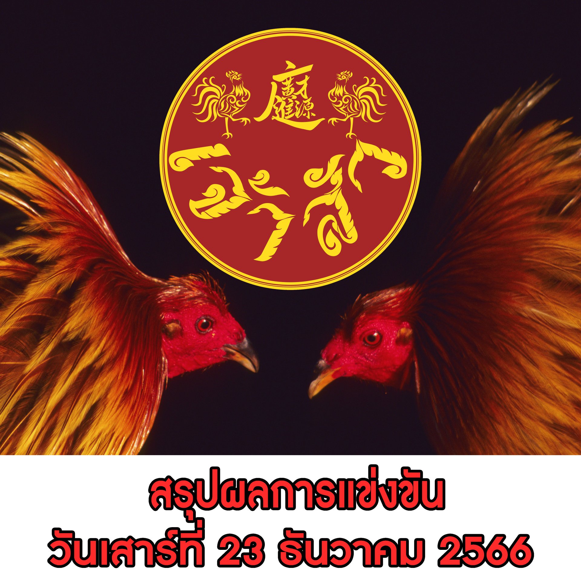 ผลการแข่งขัน ประจำวันที่ 23 ธันวาคม 2566 ผลการแข่งขัน ประจำวันที่ 23 ธันวาคม 2566