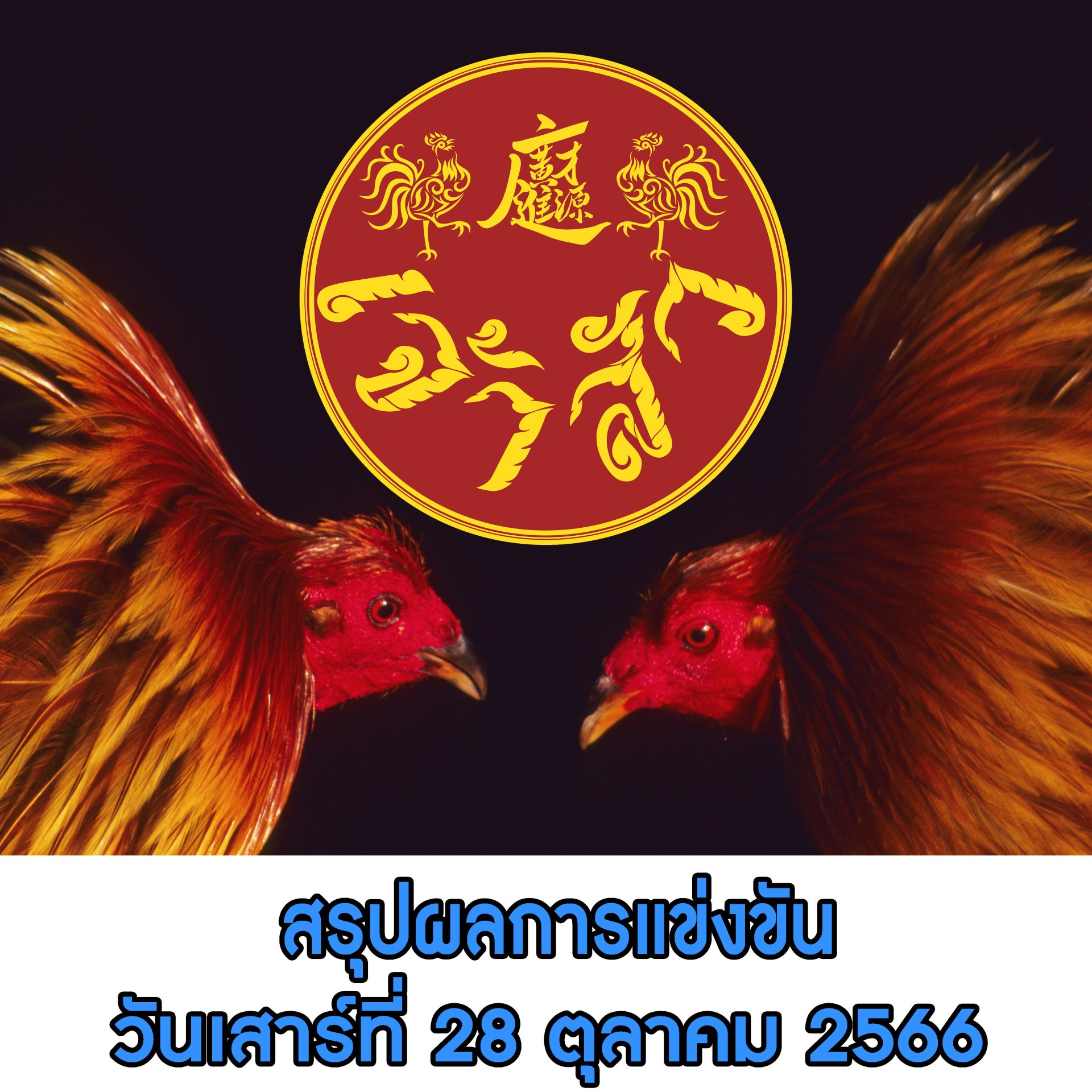 ผลการแข่งขัน ประจำวันที่ 28 ตุลาคม 2566