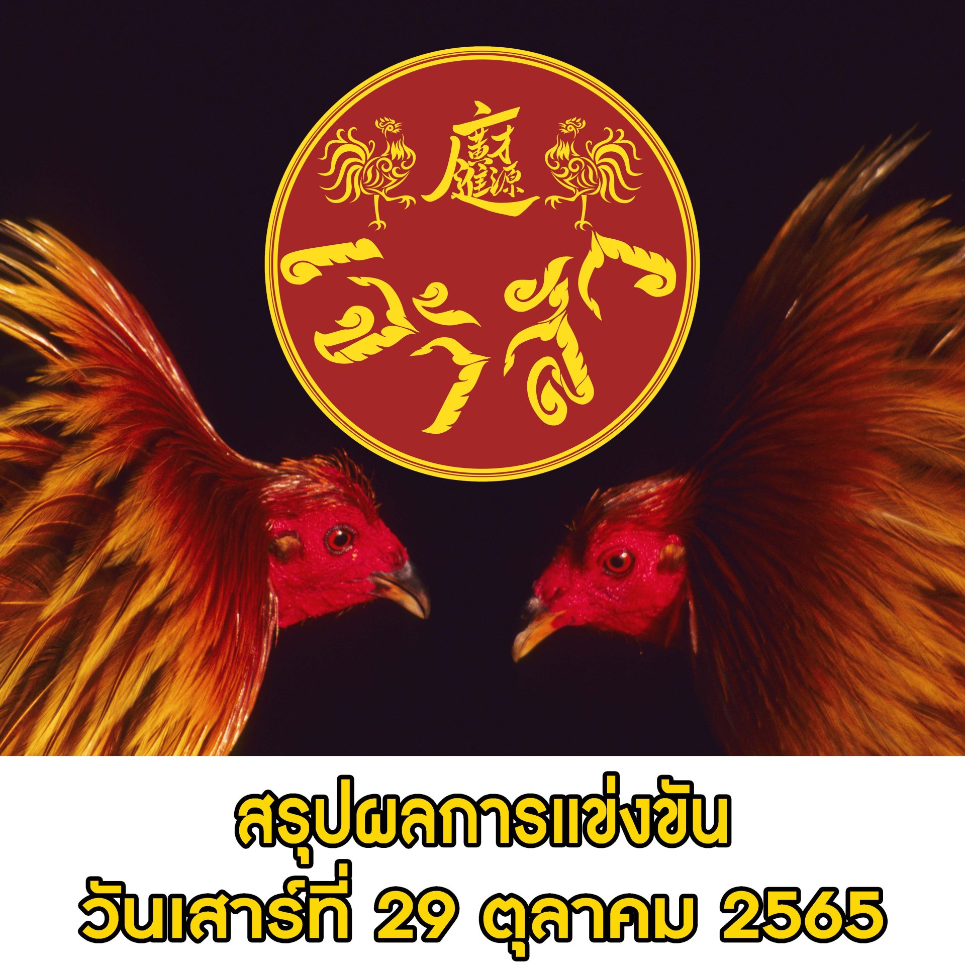 ผลการแข่งขัน ประจำวันที่ 29 ตุลาคม 2565