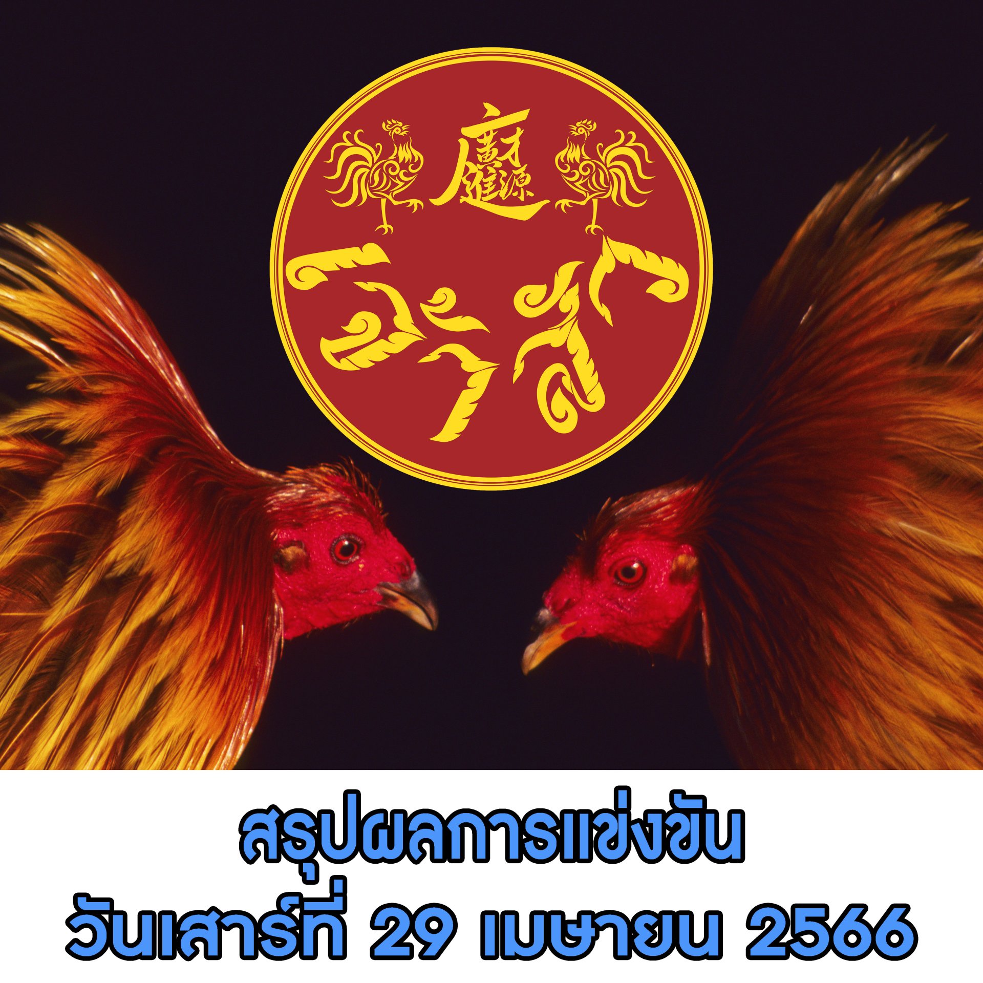 ผลการแข่งขัน ประจำวันที่ 29 เมษายน 2566 ผลการแข่งขัน ประจำวันที่ 29 เมษายน 2566