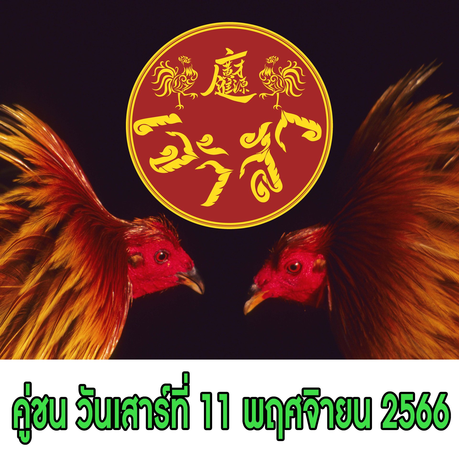 [1-26]  คู่ชน ประจำวันที่ 11 พฤศจิกายน 2566