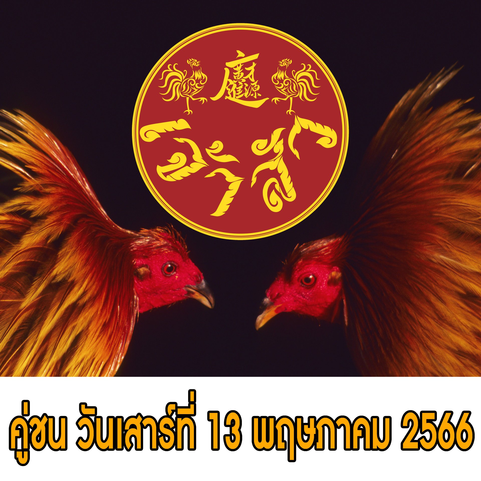 [51-90]  คู่ชน ประจำวันที่ 13 พฤษภาคม 2566