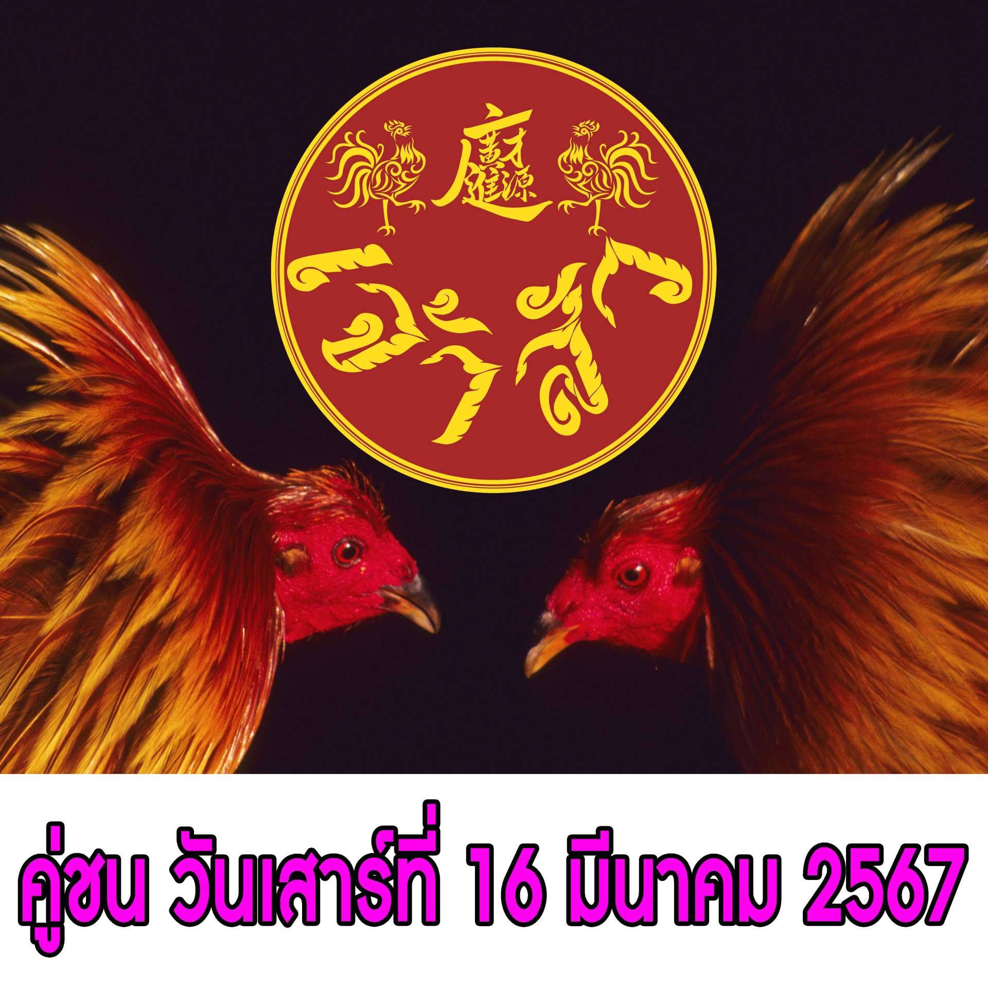 [1-50]  คู่ชน ประจำวันที่ 16 มีนาคม 2567