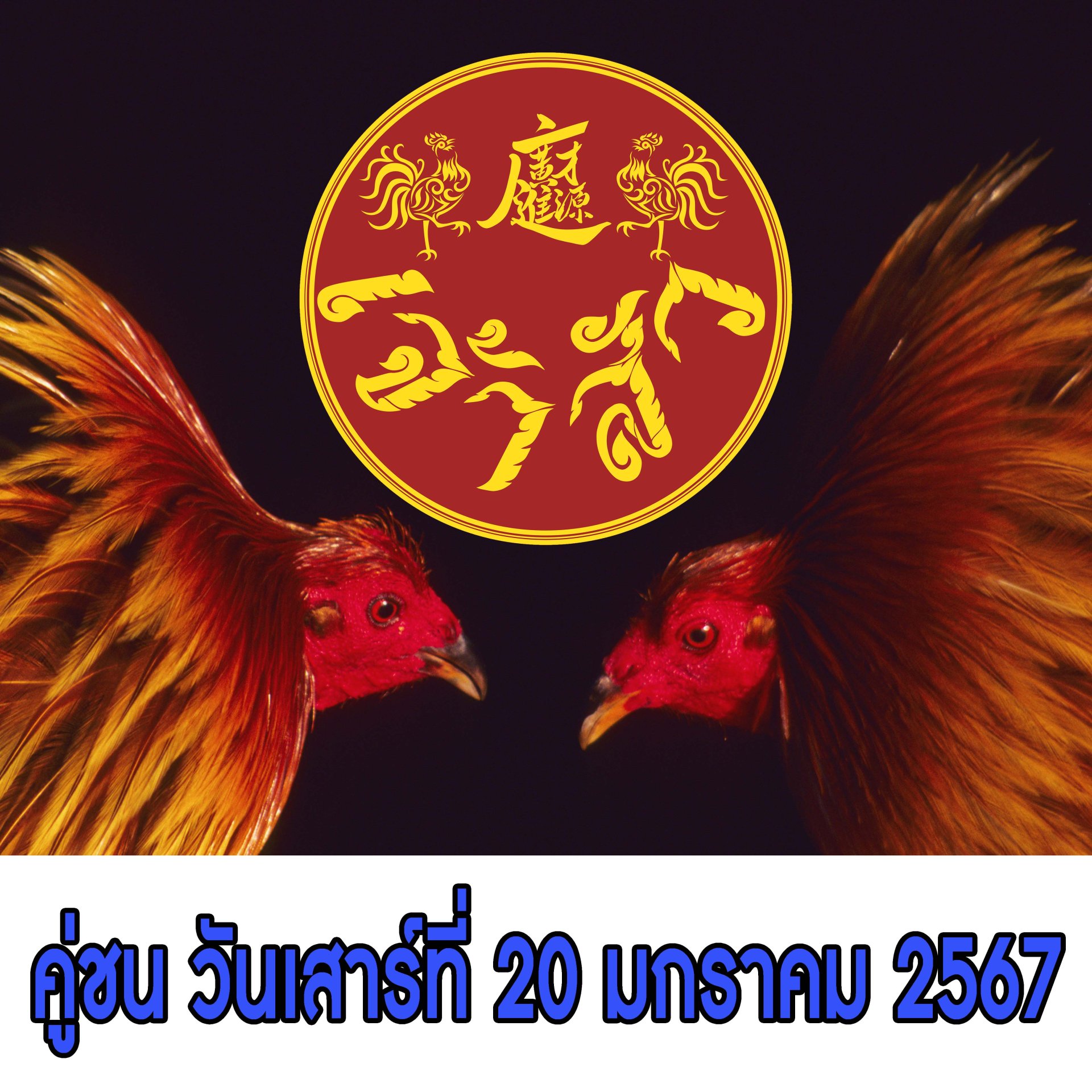 [1-47]  คู่ชน ประจำวันที่ 20 มกราคม 2567