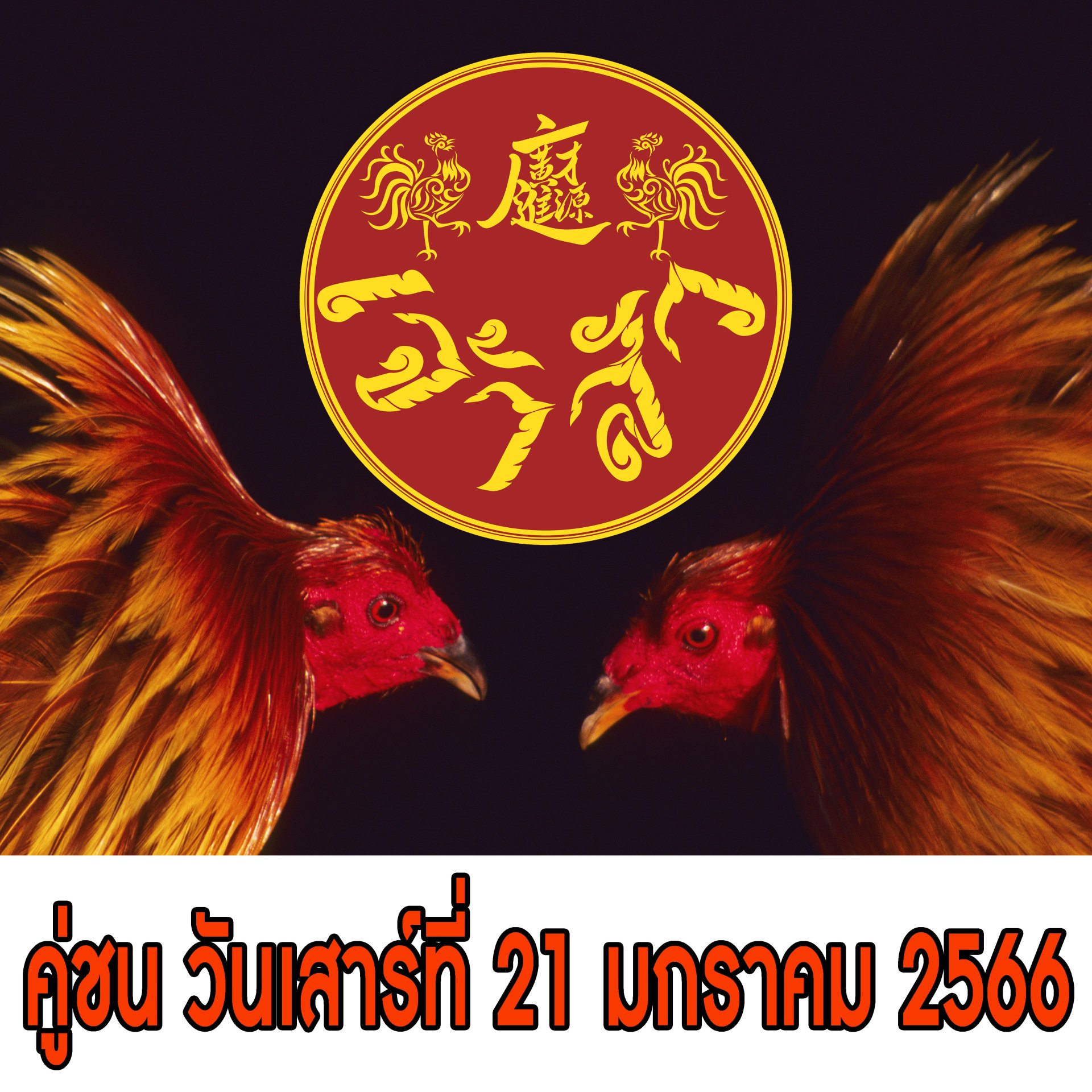 [51-100] คู่ชน ประจำวันที่ 21 มกราคม 2566