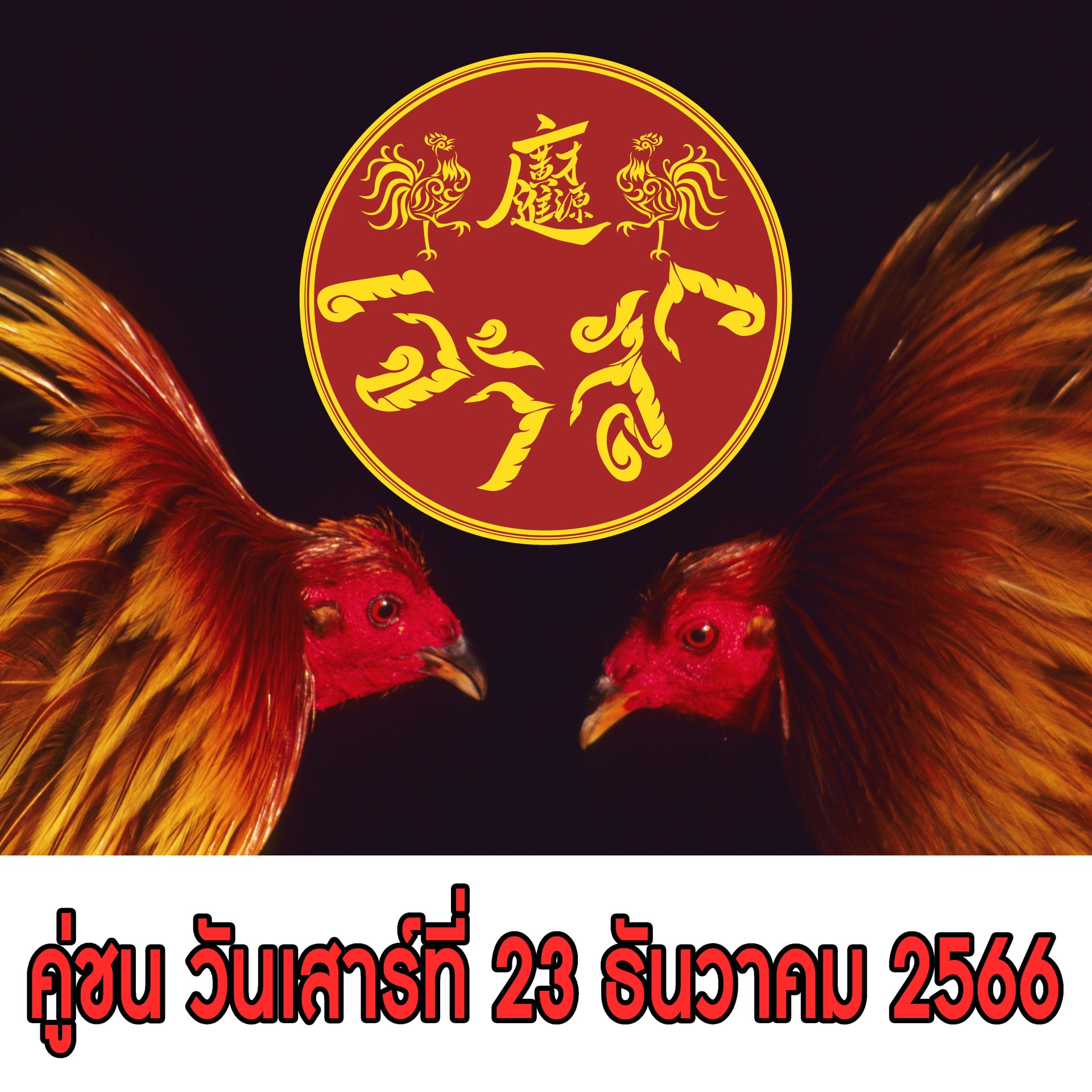 [1-38]  คู่ชน ประจำวันที่ 23 ธันวาคม 2566