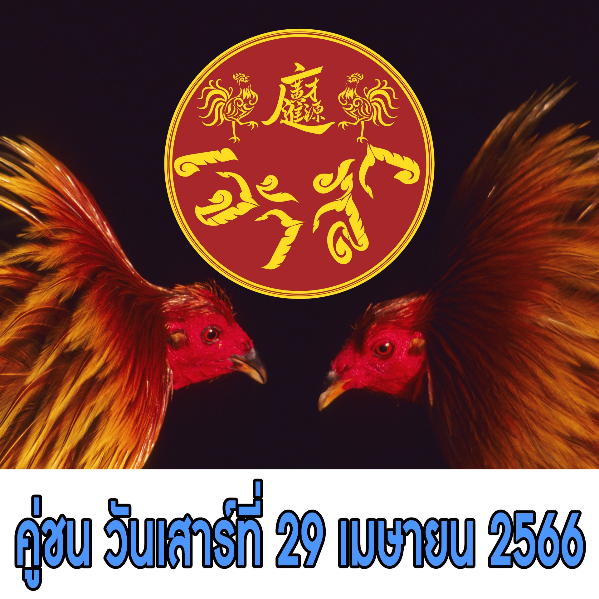 [51-92]  คู่ชน ประจำวันที่ 29 เมษายน 2566