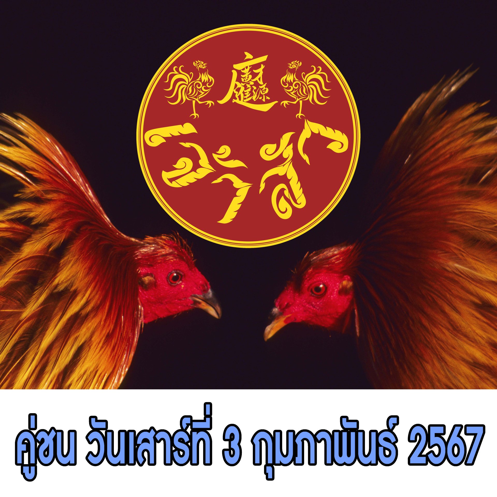 [1-48]  คู่ชน ประจำวันที่ 3 กุมภาพันธ์ 2567