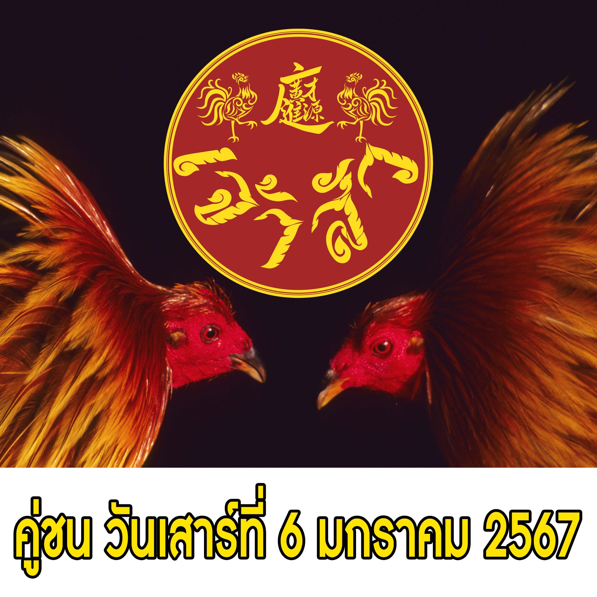 [1-15]  คู่ชน ประจำวันที่ 6 มกราคม 2567