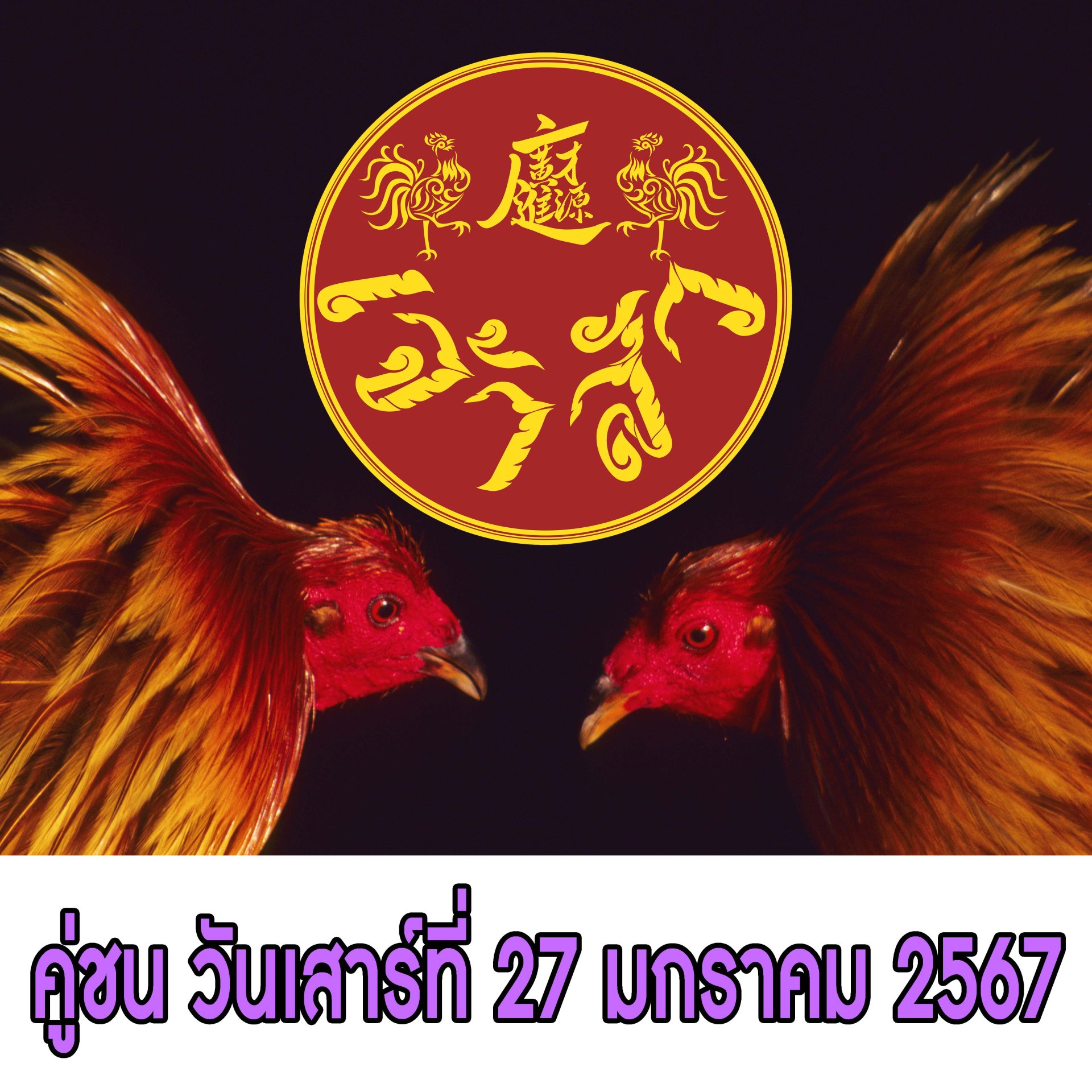 [1-20]  คู่ชน ประจำวันที่ 27 มกราคม 2567 (บ้านคลอง พิมาย)