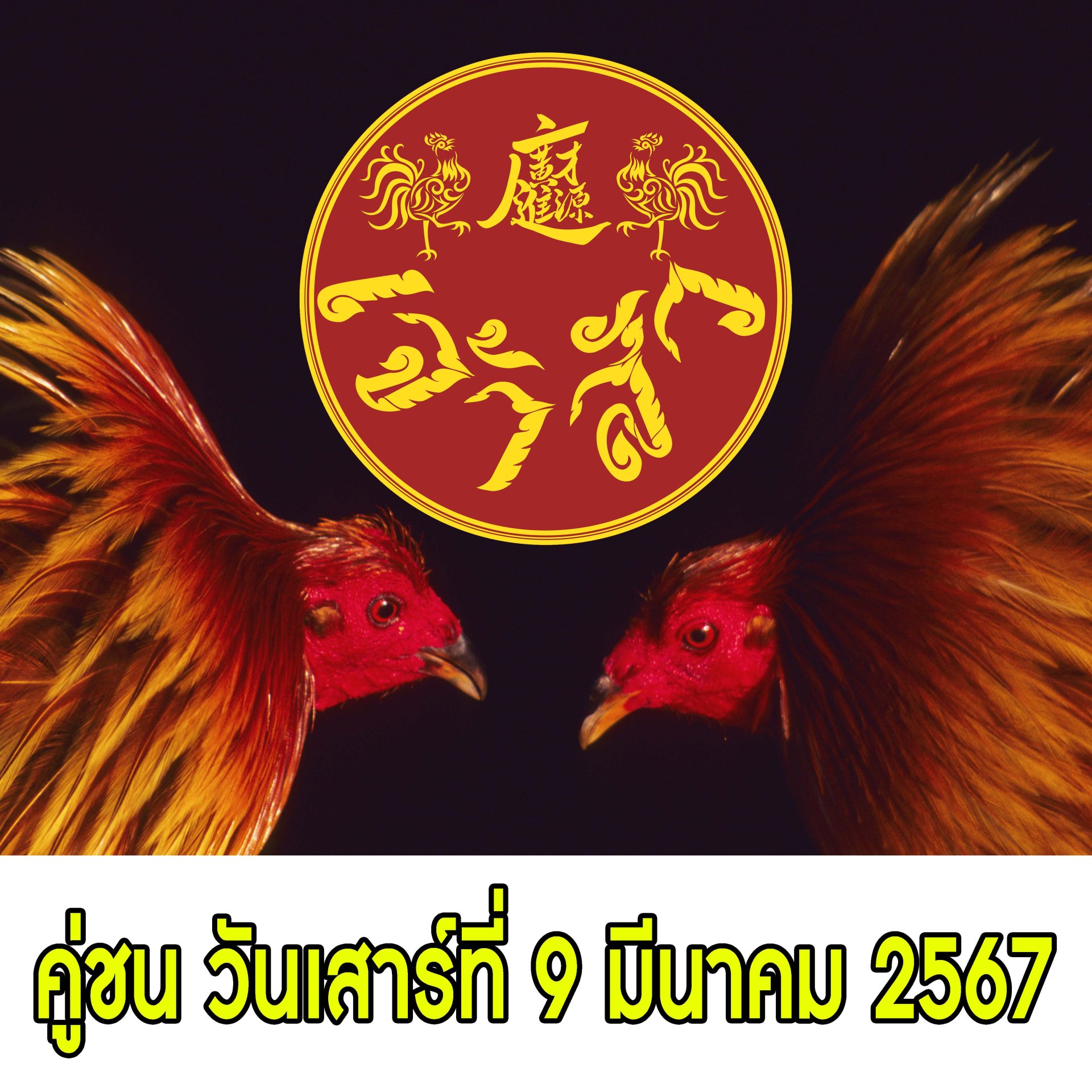 [1-25]  คู่ชน ประจำวันที่ 9 มีนาคม 2567 (บ้านคลอง พิมาย)