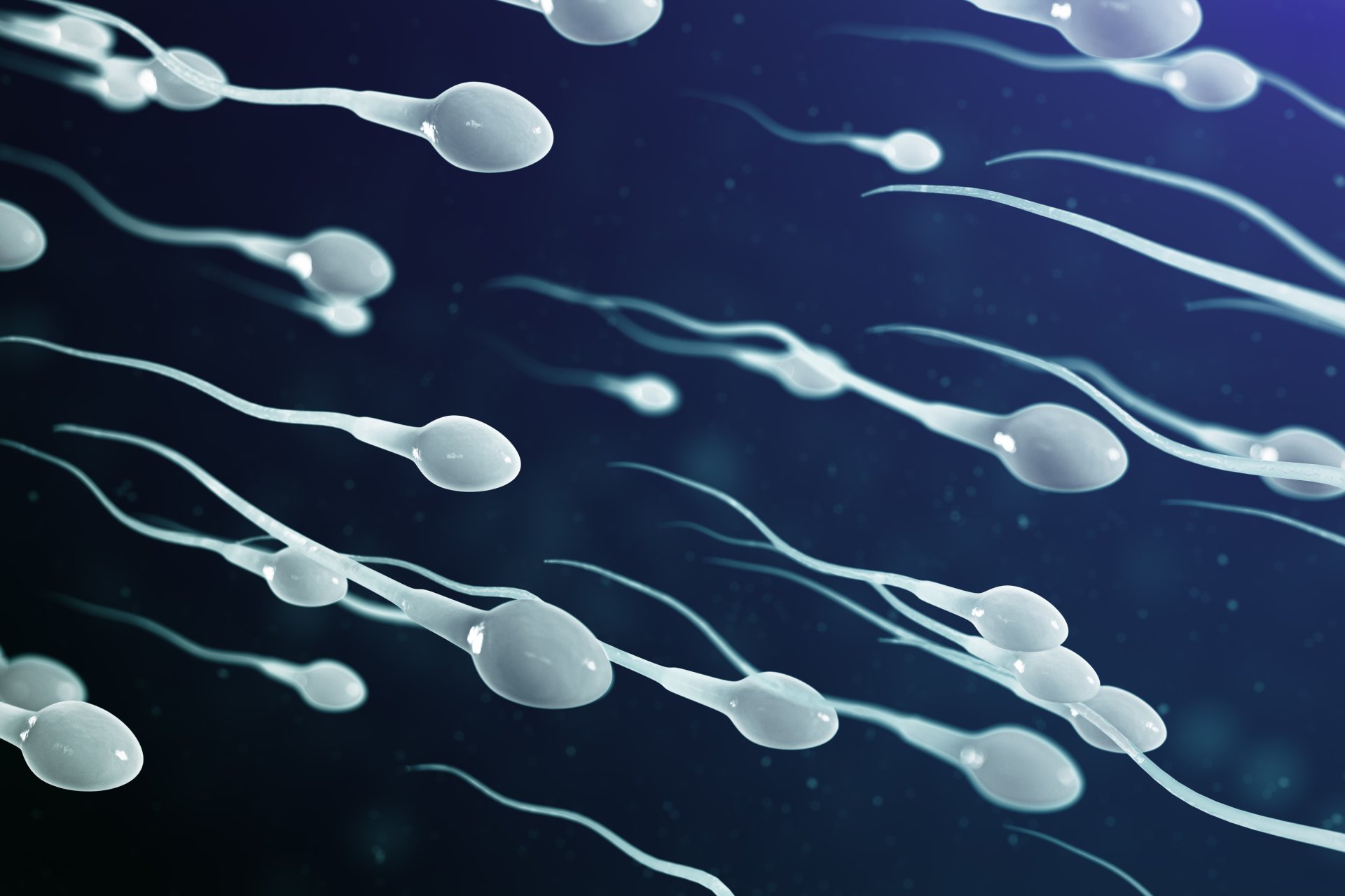 วิตามินบำรุงสเปิร์ม เพิ่มคุณภาพให้สเปิร์ม (Supplement to support healthy sperm) 
