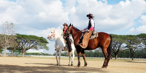 Khaoyai  one day Family Tour  Khaoyai  one day Family Tour