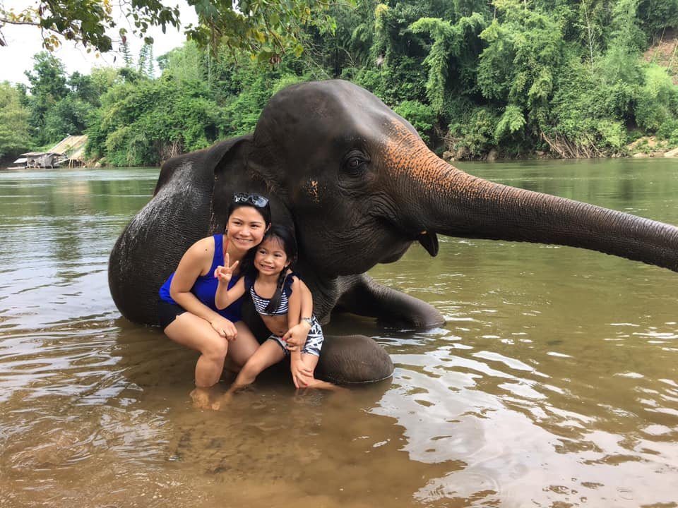 Pattaya Day Tour to Elephant Jungle  Pattaya Day Tour to Elephant Jungle