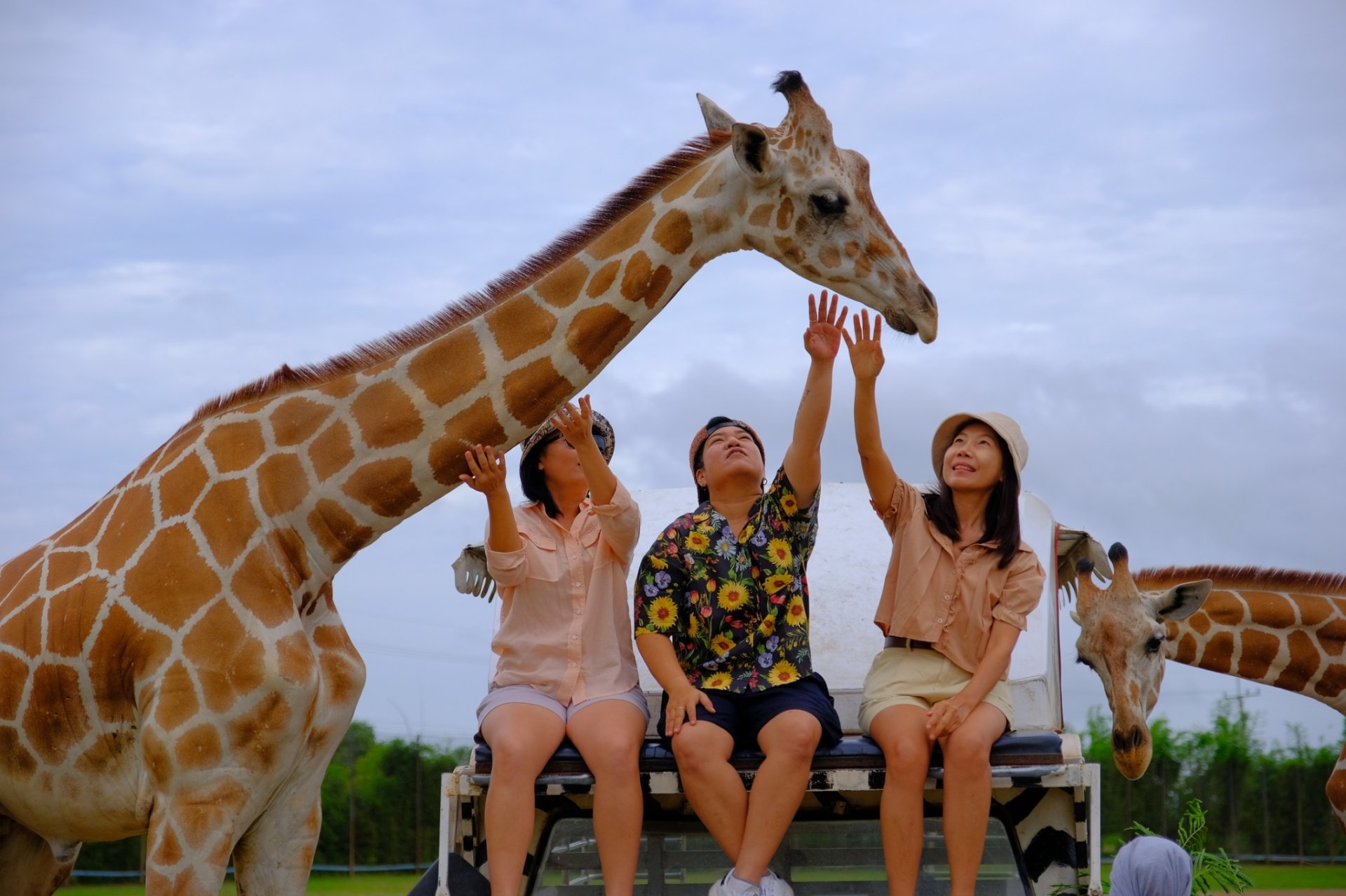 Kanchanaburi Safari Park & Giraffe Feeding Kanchanaburi Safari Park & Giraffe Feeding