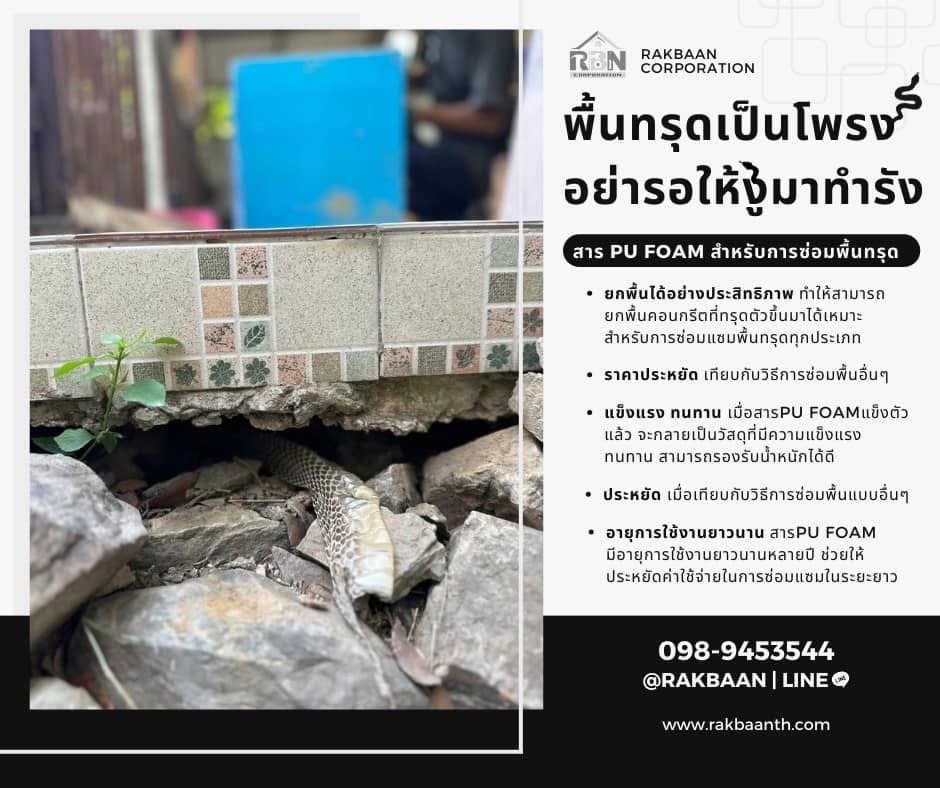 รอบบ้านเป็นโพรง ต้องการปิดโพรง อุดโพรงทำยังไงดี