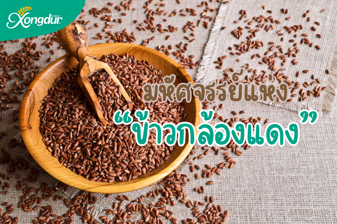 “ข้าวกล้องแดง” ข้าวดีที่ถูกลืม “ข้าวกล้องแดง” ข้าวดีที่ถูกลืม