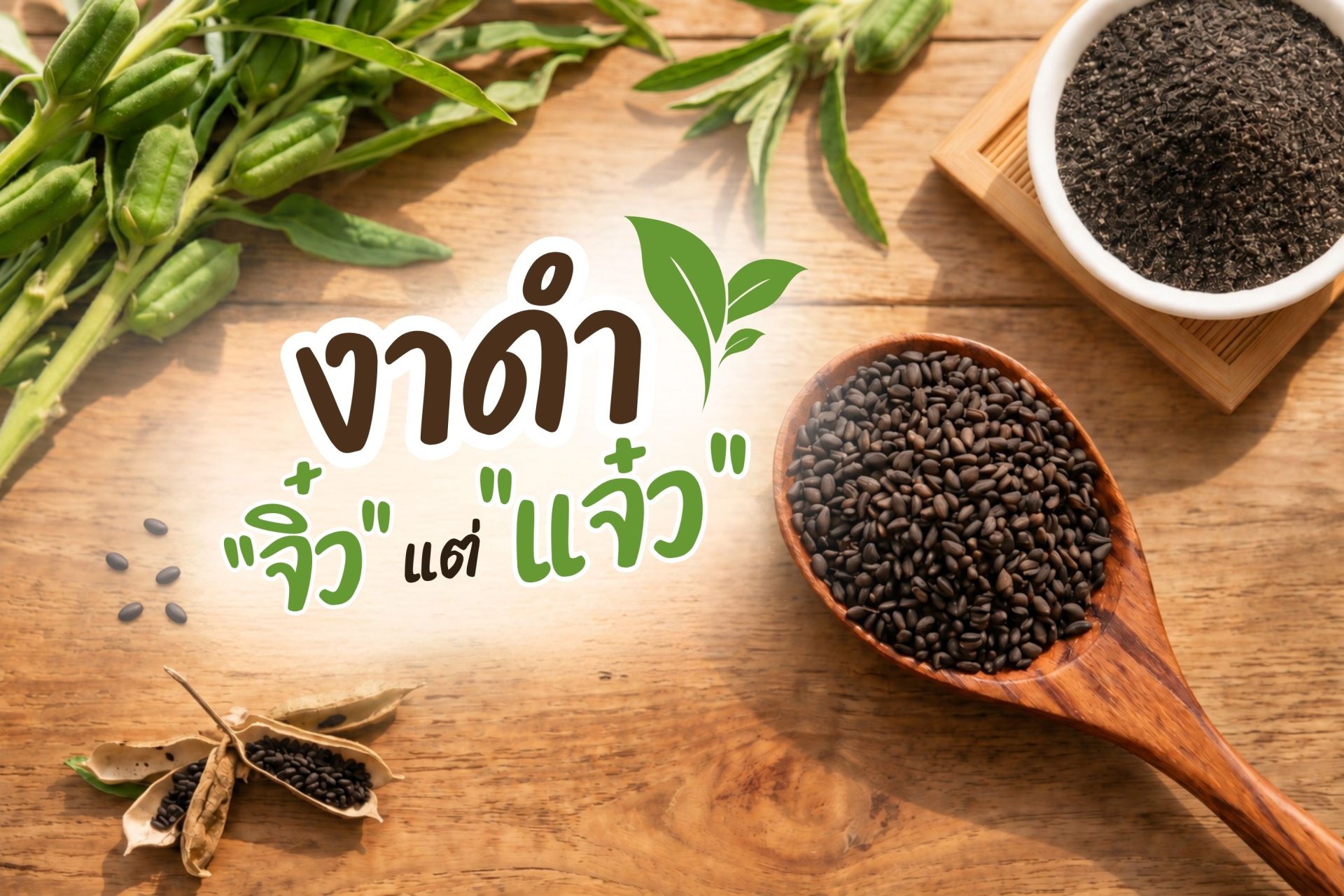 งาดำเมล็ดจิ๋วแต่แจ๋ว